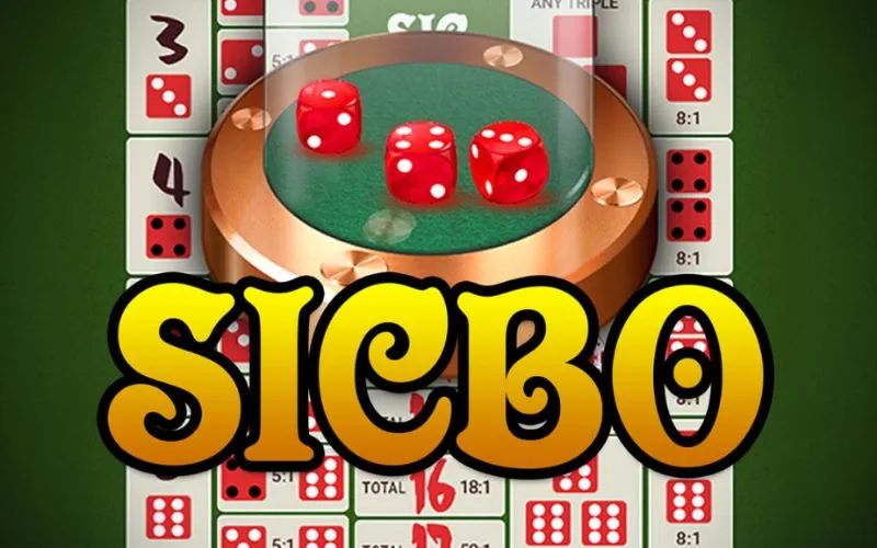 The Best Live Sic Bo Betting Strategies for Beginners